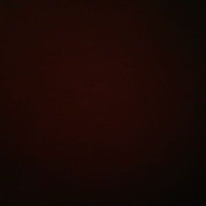 Meet your Posher, Trina